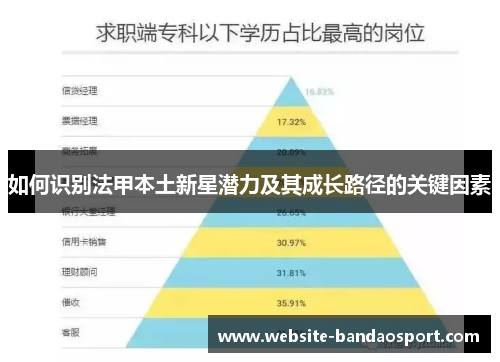 如何识别法甲本土新星潜力及其成长路径的关键因素