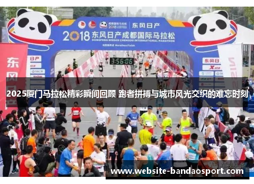 2025厦门马拉松精彩瞬间回顾 跑者拼搏与城市风光交织的难忘时刻