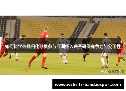 如何科学选择归化球员参与亚洲杯入选赛确保竞争力与公平性