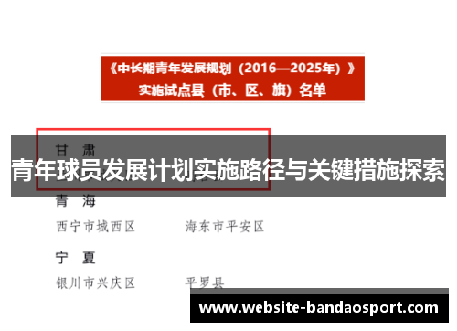 青年球员发展计划实施路径与关键措施探索 青年球员发展计划实施路径与关键措施探索