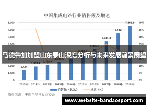 马德鲁加加盟山东泰山深度分析与未来发展前景展望 马德鲁加加盟山东泰山深度分析与未来发展前景展望
