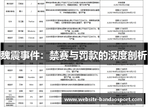 魏震事件：禁赛与罚款的深度剖析